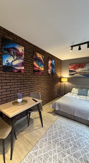 apartamenty do wynajecia katowice