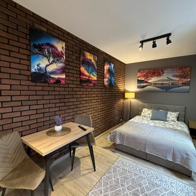 apartamenty do wynajecia katowice